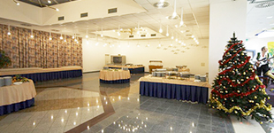 Conference room Artemis