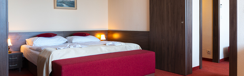 Room of Hotel Olympik